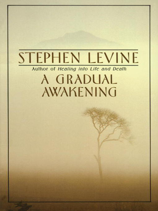 Title details for A Gradual Awakening by Stephen Levine - Available